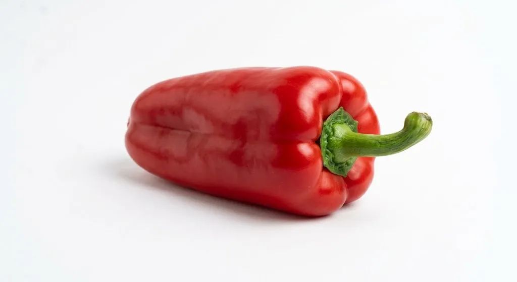 Bell Pepper (Capsicum)