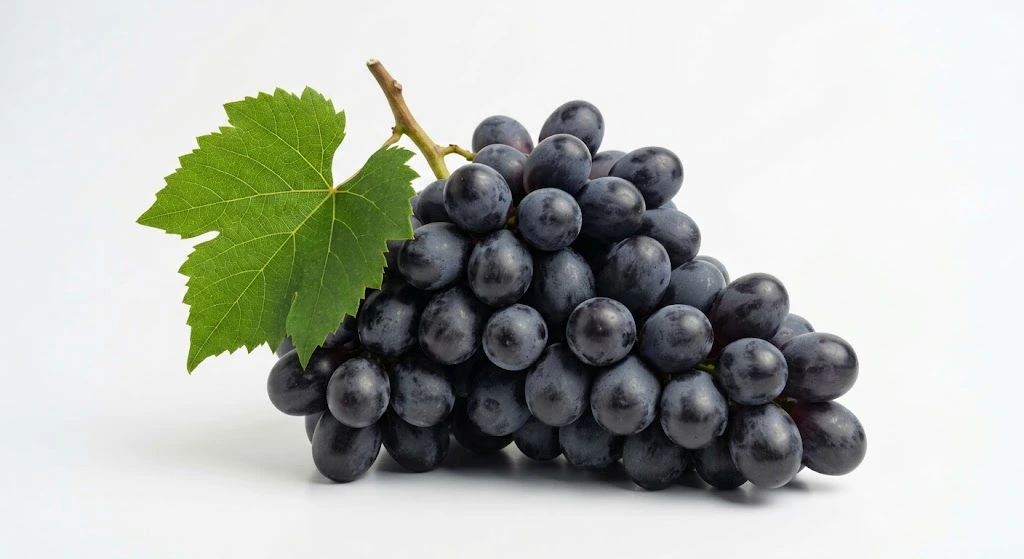 Black Grapes