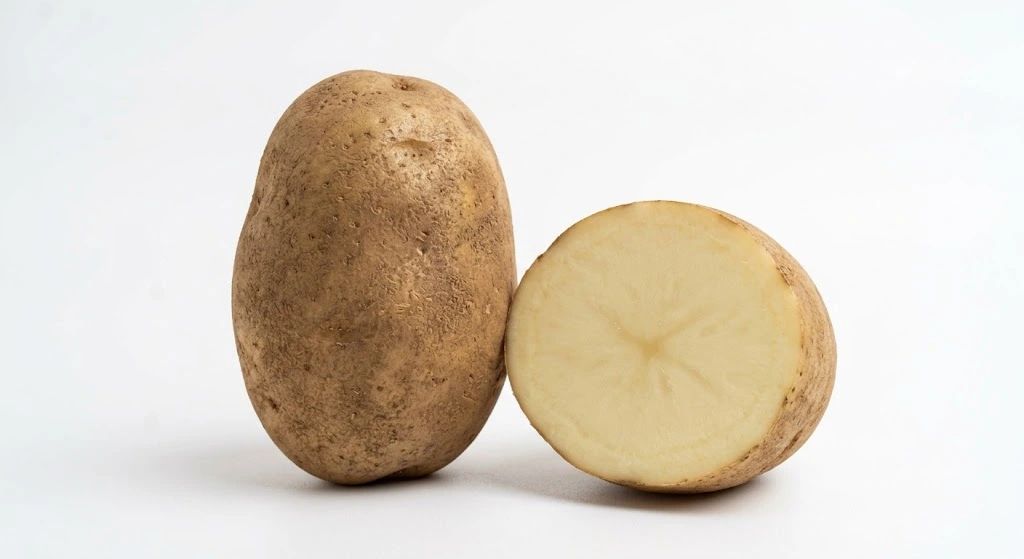Potato